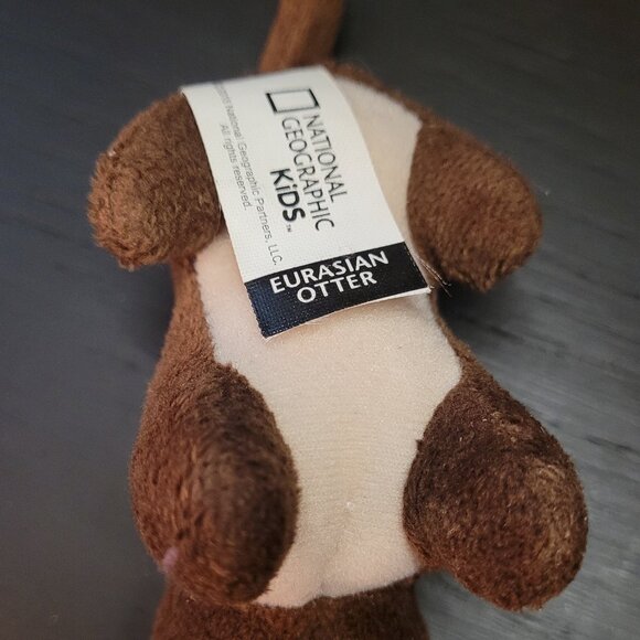 Eurasion Otter - Picture 3 of 3